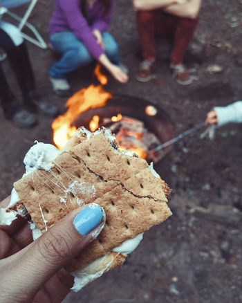 A hand holding a s'more.